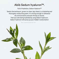Abib Sedum Hyaluron Pad Hydrating Touch – 165ml / 75 Pads Abib