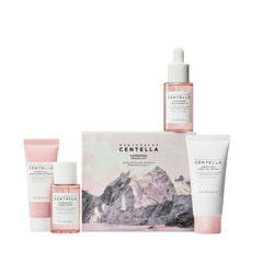 SKIN 1004 Madagascar Centella Poremizing Travel Kit SKIN1004
