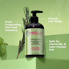 Mielle Rosemary Mint Blend Strengthening Conditioner - 355ml MIELLE