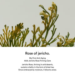 Abib Jericho rose PHA toner_skin booster - 200ml Abib