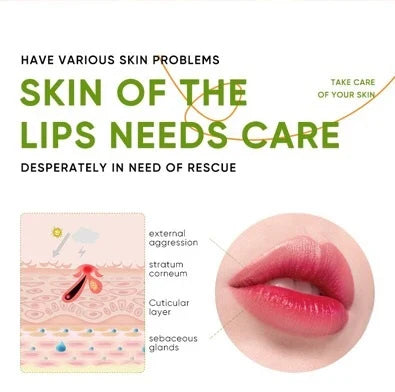 Sadoer Vitamin C Moisturizing Lip Balm - 2.7g Sadoer