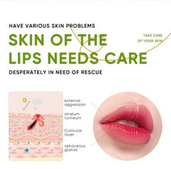 Sadoer Vitamin C Moisturizing Lip Balm - 2.7g Sadoer