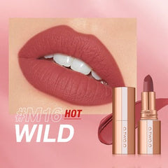 O.TWO.O Matte Finish Waterproof Long Wear Silky Lipstick
