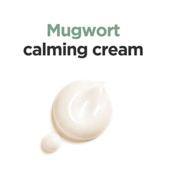 Isntree Mugwort Calming Cream - 50ml ISNTREE
