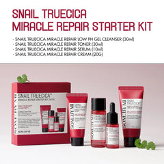 Some By Mi Snail Truecica Miracle Repair Starter Kit Some By Mi