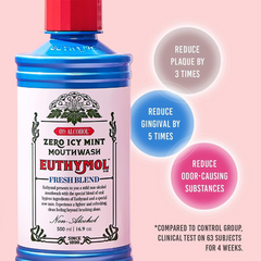 Euthymol Icy Mint Mouth Wash - 500 ml – Alcohol-Free Fluoride Mouthwash for Fresh Breath & Plaque Care