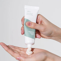 Isntree Mugwort Calming Cream - 50ml ISNTREE