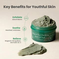 AXIS-Y Mugwort Pore Clarifying Wash Off Pack - Clay Mask 100 ml | Best Before 18 Feb 2027