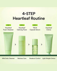 Abib Heartleaf Calming Trial Kit (Foam 30ml + Toner 30ml + TECA Serum 15ml + Cream 20ml) Abib